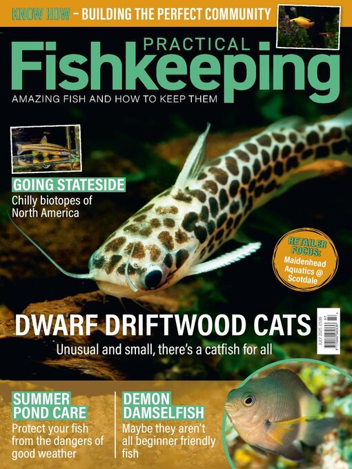 Title details for Practical Fishkeeping by Warners Group Publications Plc - Available